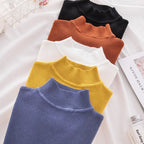 Women Turtleneck Sweater Knitted Soft Pullovers cashmere Jumpers Basic Solid Soft Sweaters Women Autumn Winter Casual Top