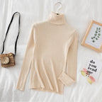 Women Turtleneck Sweater Knitted Soft Pullovers cashmere Jumpers Basic Solid Soft Sweaters Women Autumn Winter Casual Top